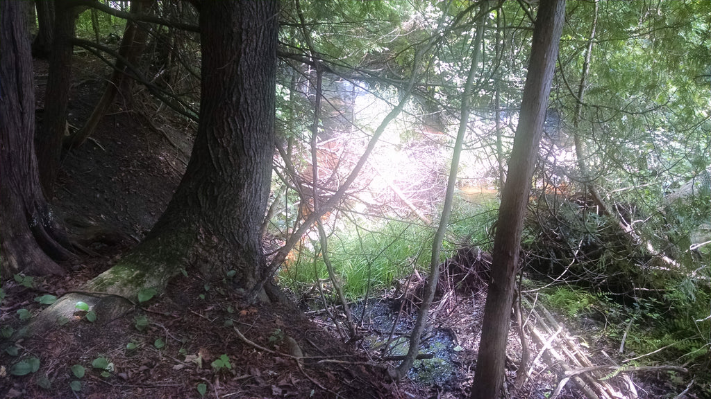 Now accepting Eneferens Pre-Orders! Sons of Crom also available!