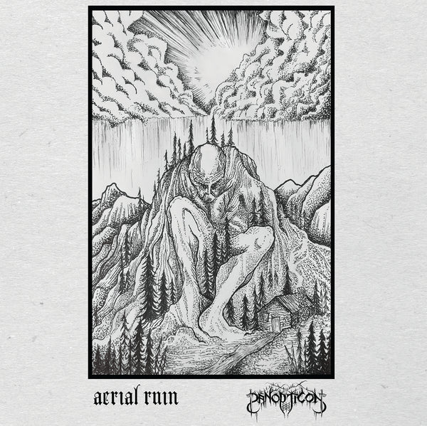 Aerial Ruin/Panopticon - Split LP