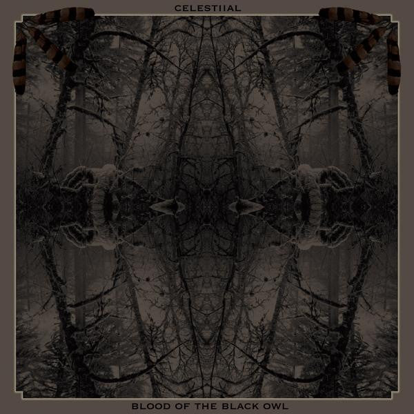 Blood of the Black Owl / Celestiial - Split 12"