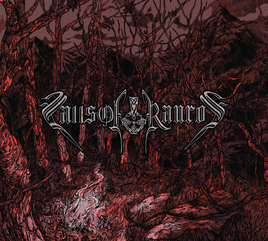 Falls of Rauros (US) - Hail Wind and Hewn Oak Digipak CD