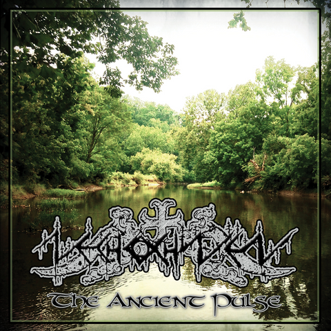 Nechochwen - The Ancient Pulse CD