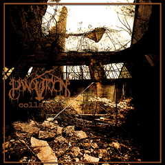 Panopticon - Collapse 2LP
